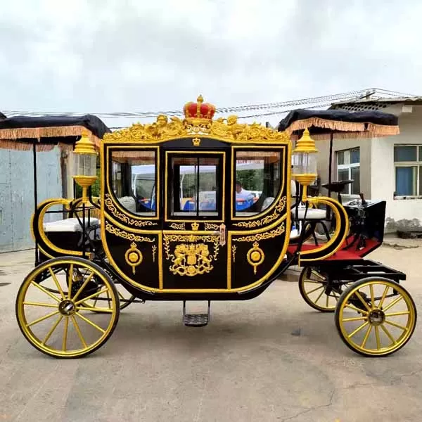 Horse Buggy for Wedding