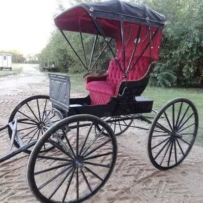 Horse Drawn Doctor Buggy for Sale