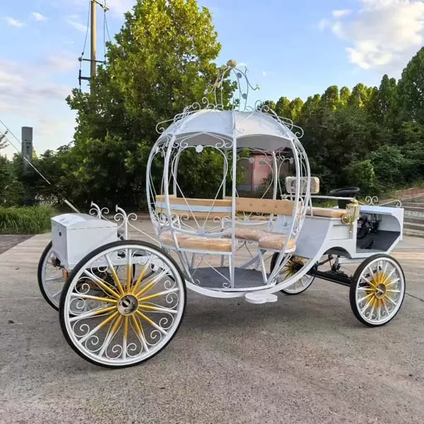 Cinderella Wedding Carriage for Sale