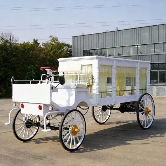 Horse Drawn Hearse for Sale