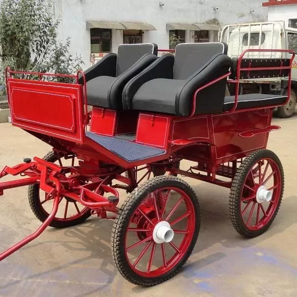 Pony Marathon Carriage
