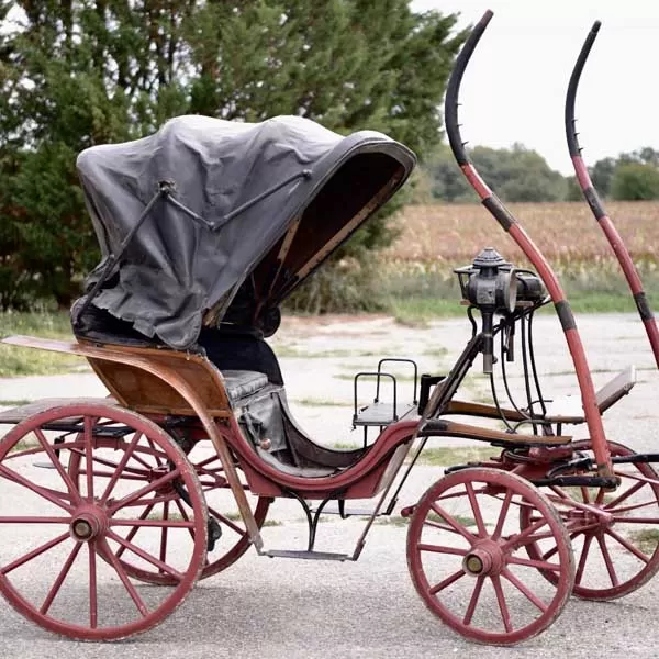 Victorian Horse Drawn Carriage
