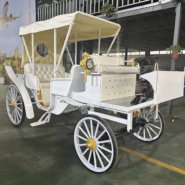 Horse Cart for Wedding