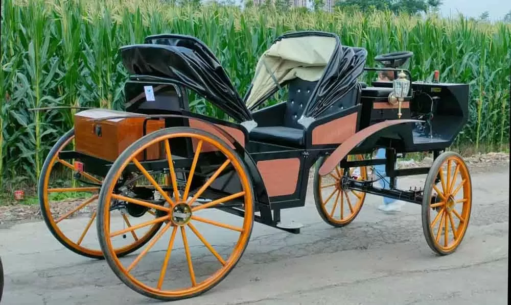 horse carriage Manufacturer