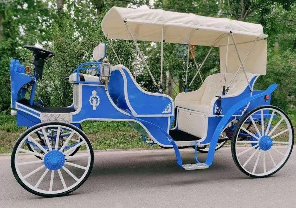 Vintage Tour Carriage
