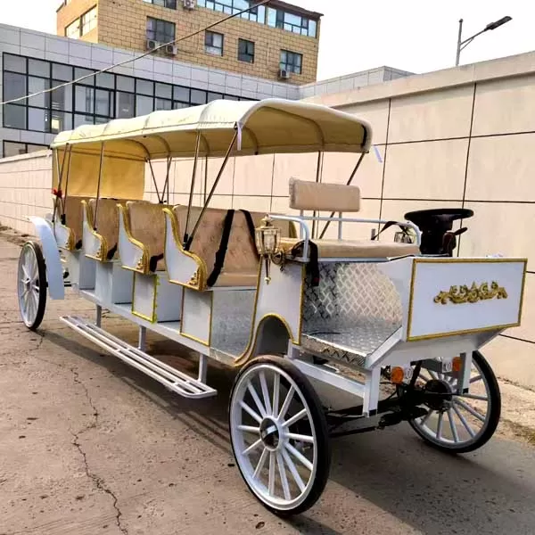 Horse Drawn Bus for  Sale