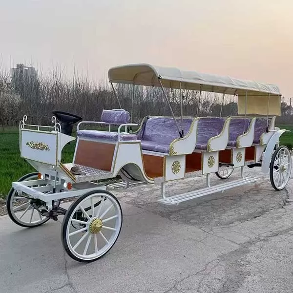 Horse Drawn Bus for  Sale