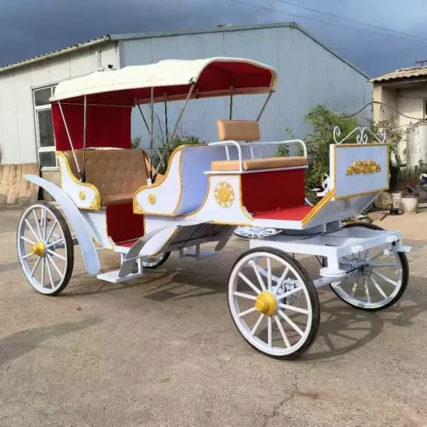 Horse Cart for Wedding