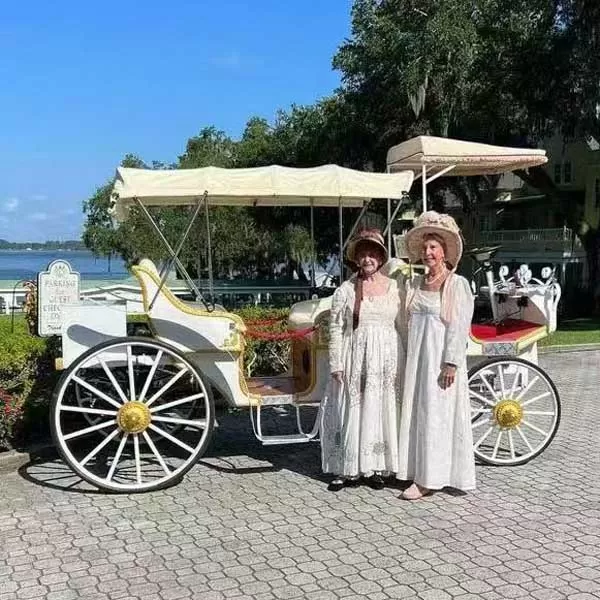 Horse Cart for Wedding