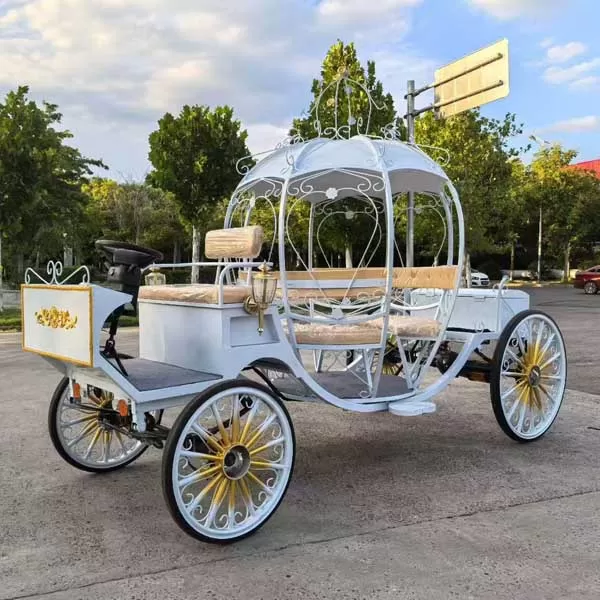 Horse Cart for Wedding