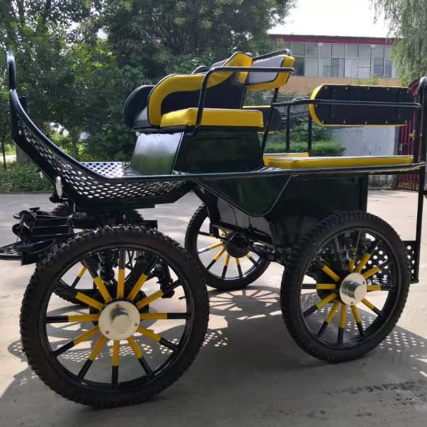 Pony Marathon Carriage