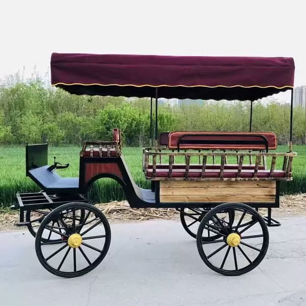 Jaunting Car for Sale