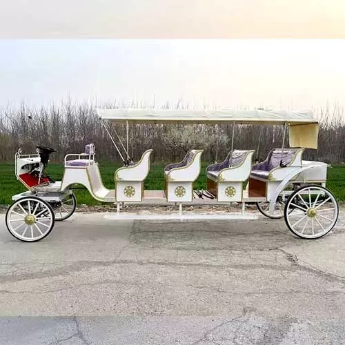 Jaunting Car for Sale