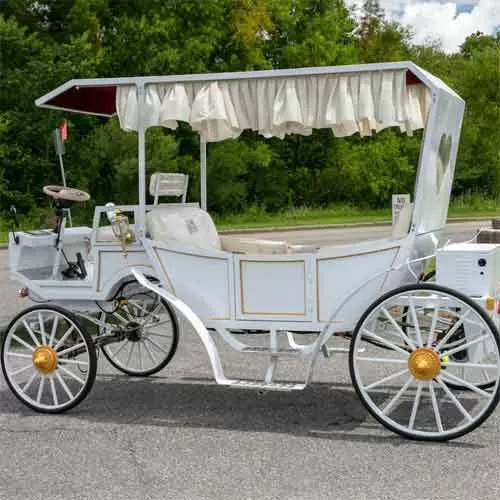 Horseless Carriage for Sale