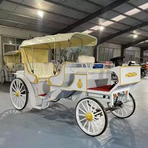 Cinderella Carriages for Weddings