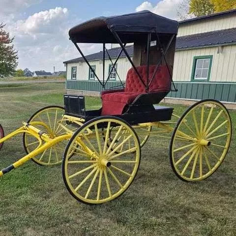 Horse Drawn Doctor Buggy for Sale