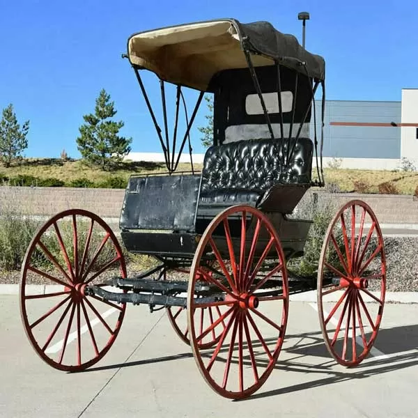 Horse Drawn Doctor Buggy for Sale
