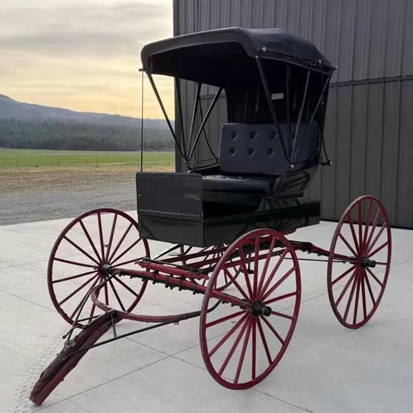 Horse Drawn Doctor Buggy for Sale