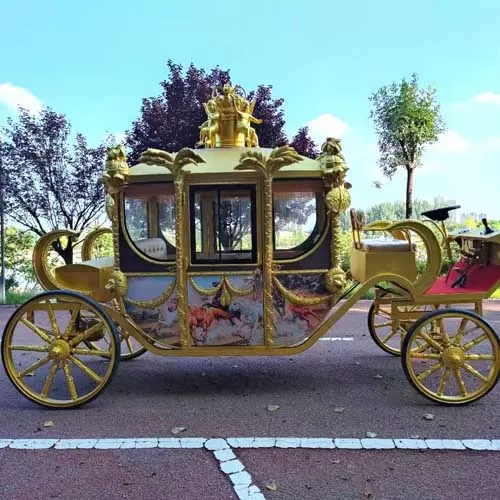 Horse Coach for Sale