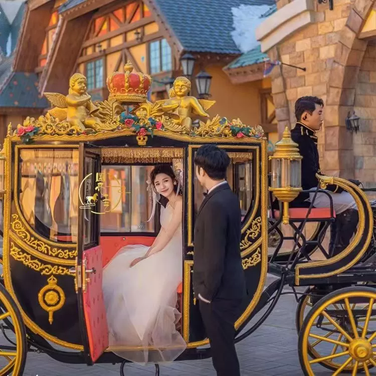Horse Buggy for Wedding