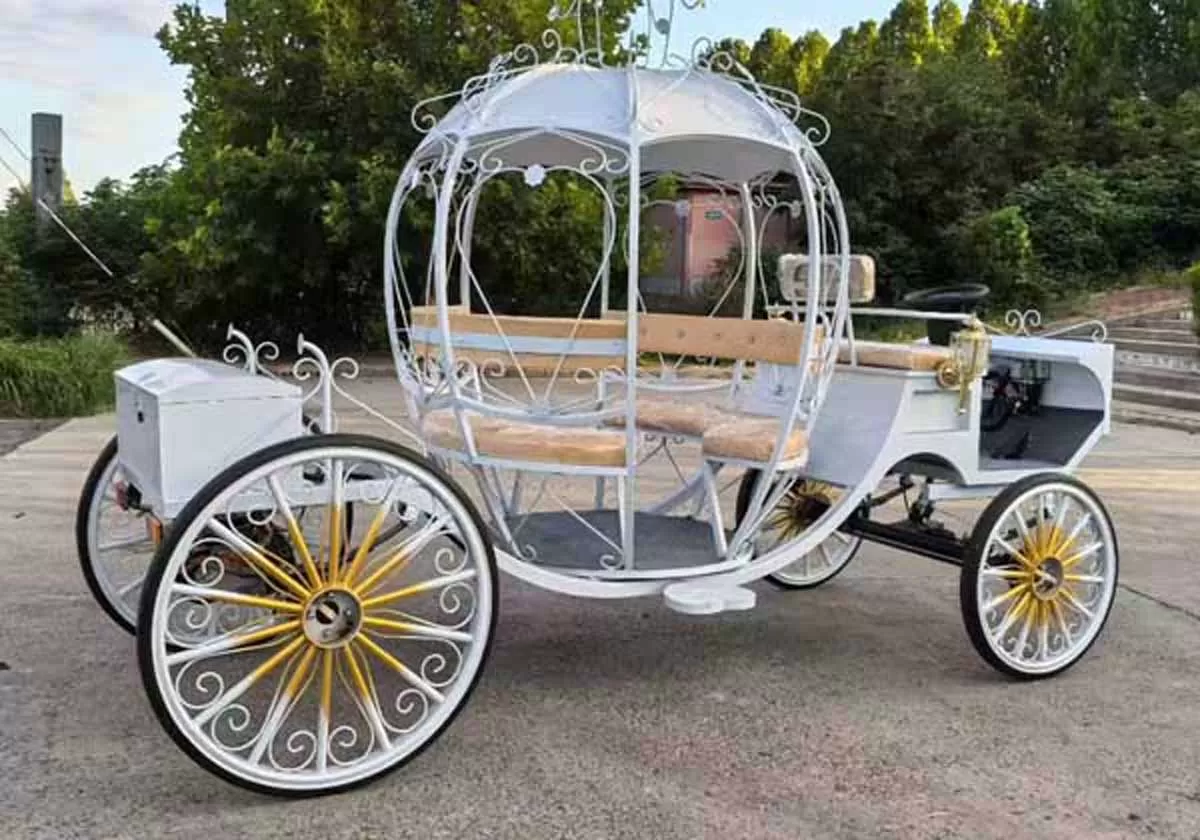 Wedding Horse Carriage